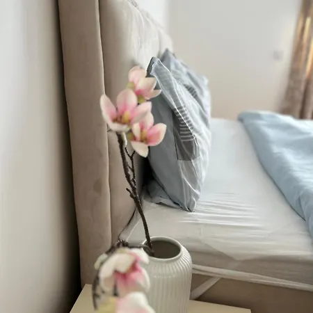 Zaric アパート *