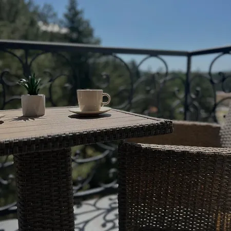 Zaric アパート *